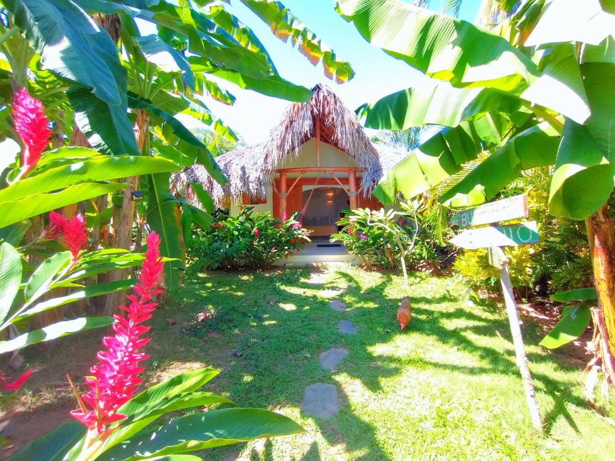 Casa Picaflor Bed & Breakfast ลาสแตร์เรนาส ภายนอก รูปภาพ
