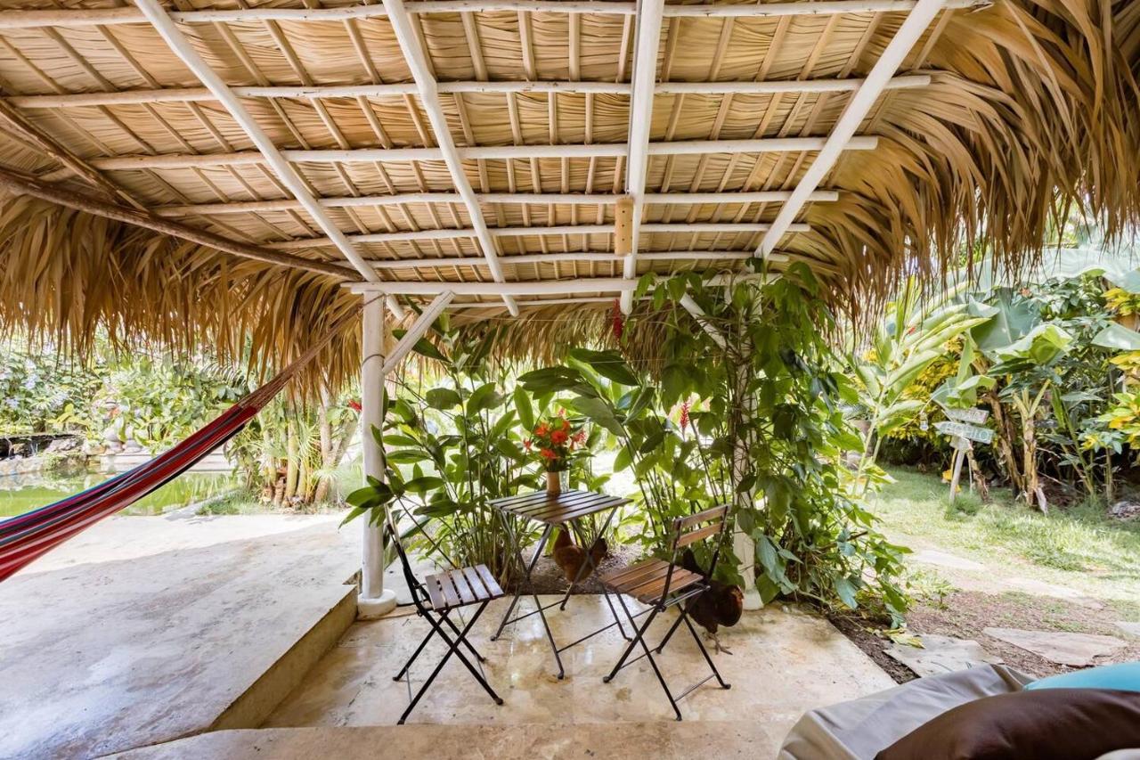 Casa Picaflor Bed & Breakfast ลาสแตร์เรนาส ภายนอก รูปภาพ