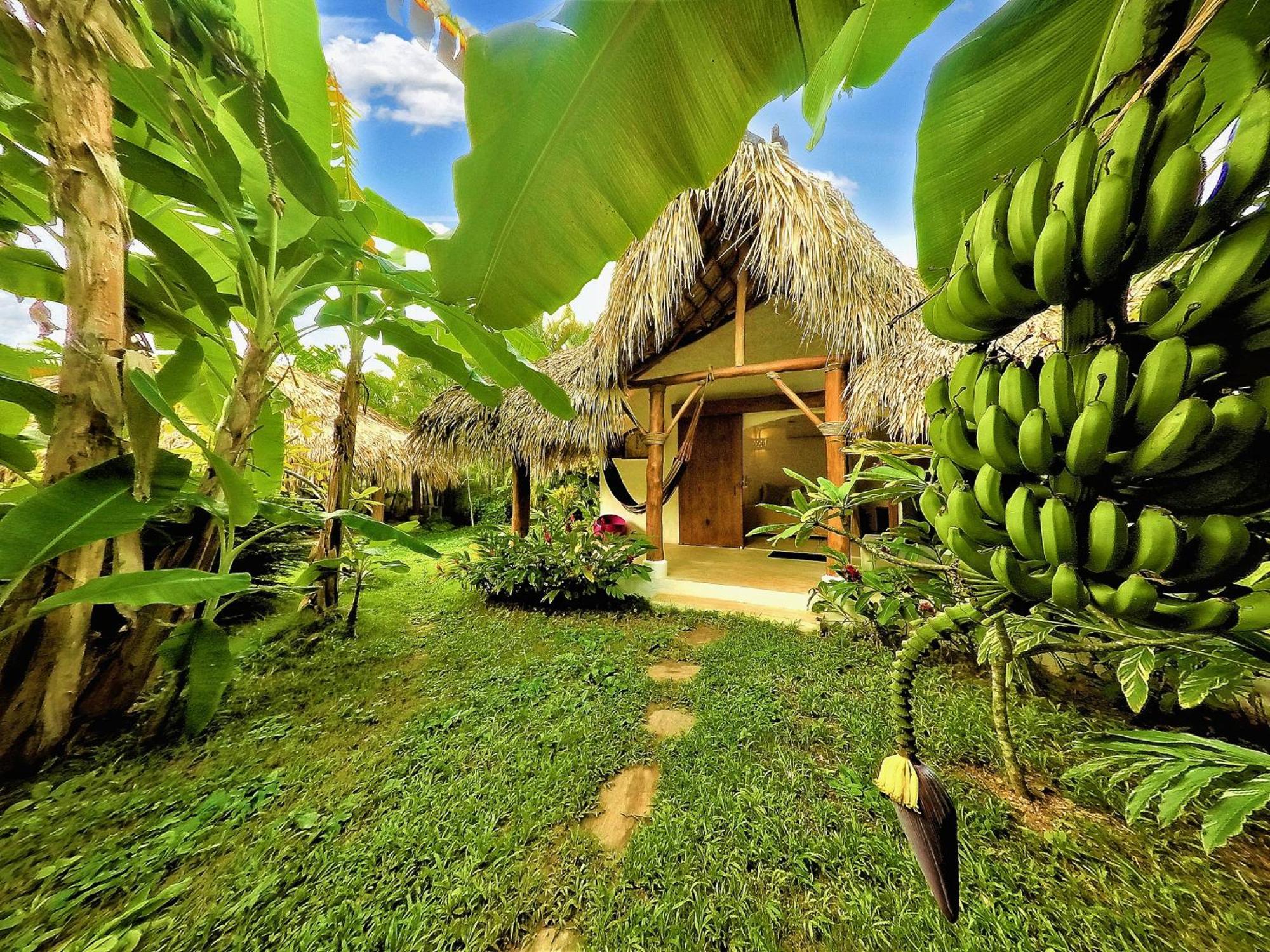 Casa Picaflor Bed & Breakfast ลาสแตร์เรนาส ภายนอก รูปภาพ