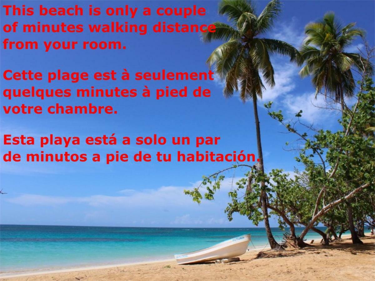 Casa Picaflor Bed & Breakfast ลาสแตร์เรนาส ภายนอก รูปภาพ