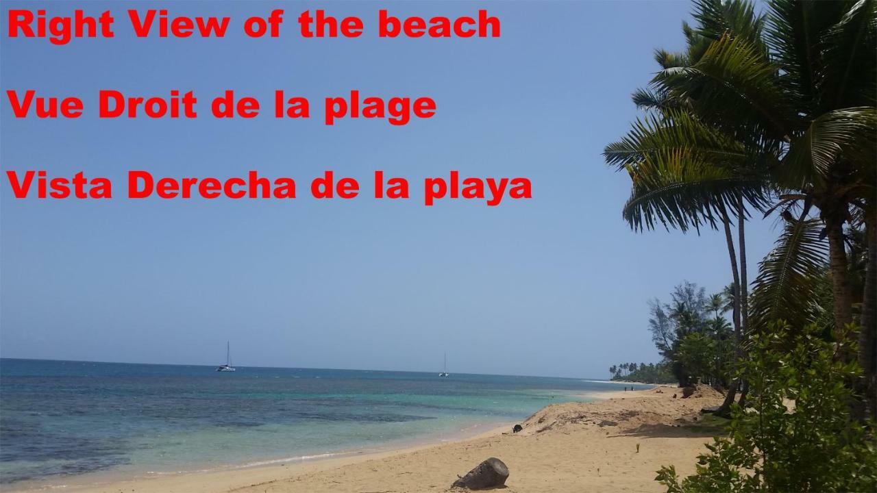 Casa Picaflor Bed & Breakfast ลาสแตร์เรนาส ภายนอก รูปภาพ